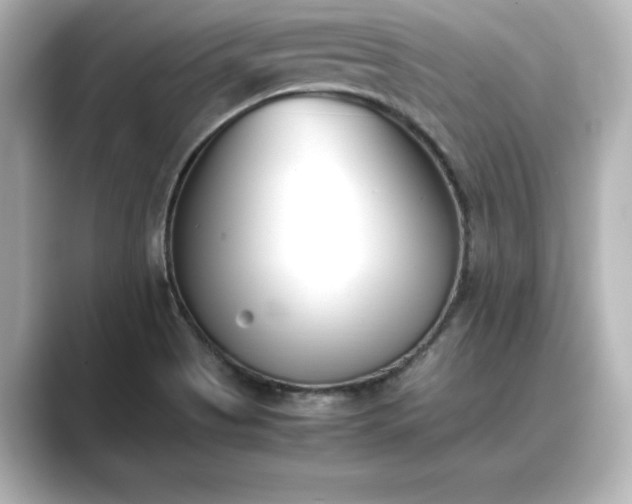 X0000089401513200706221108