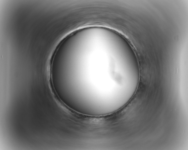 X0000089401519200706221108