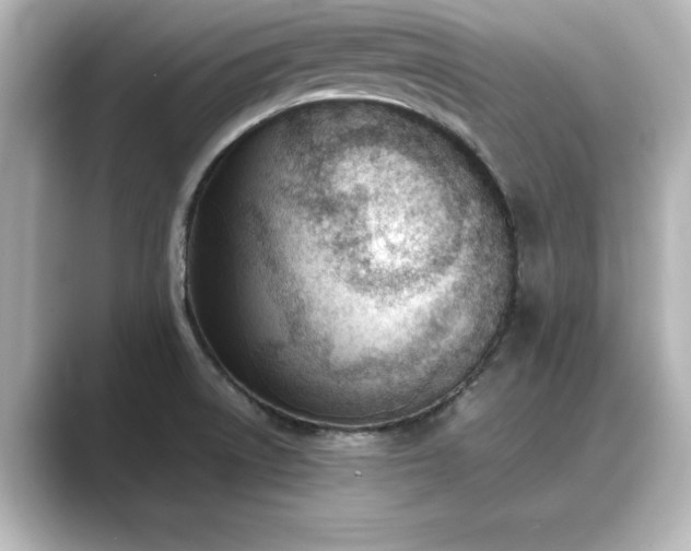 X0000089401522200706221108