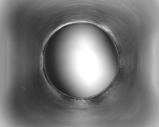 X0000089401524200706221108