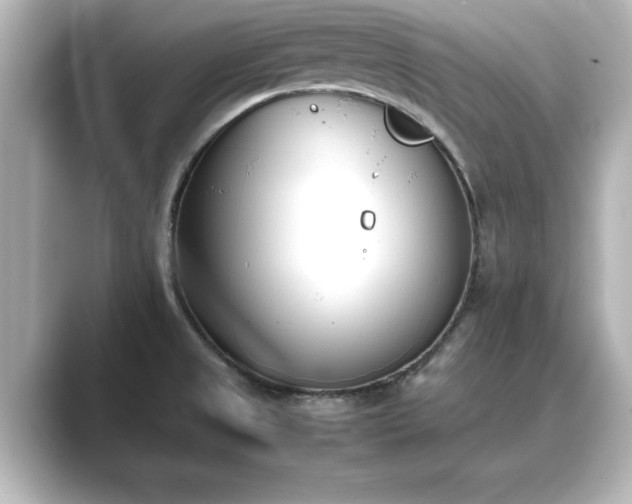 X0000089401525200706221108