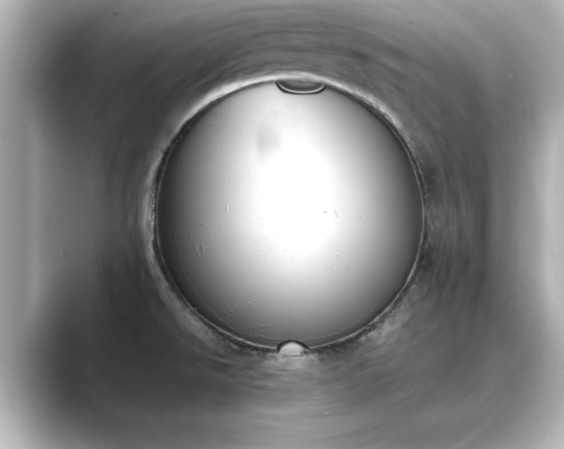 X0000089401526200706221108