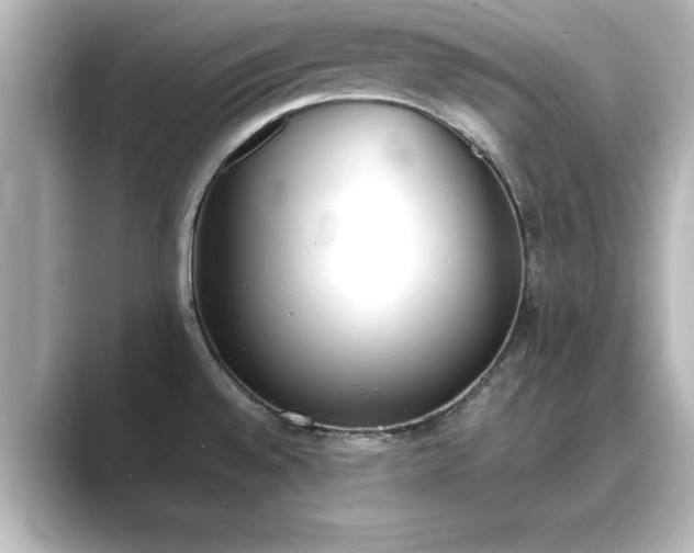 X0000089401528200706221108