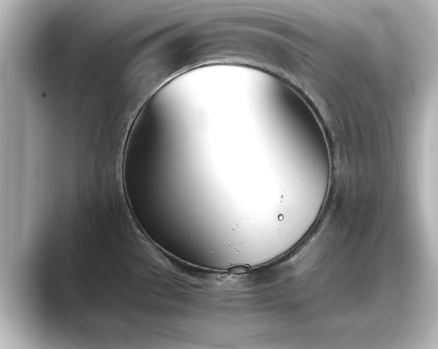 X0000089401529200706221108