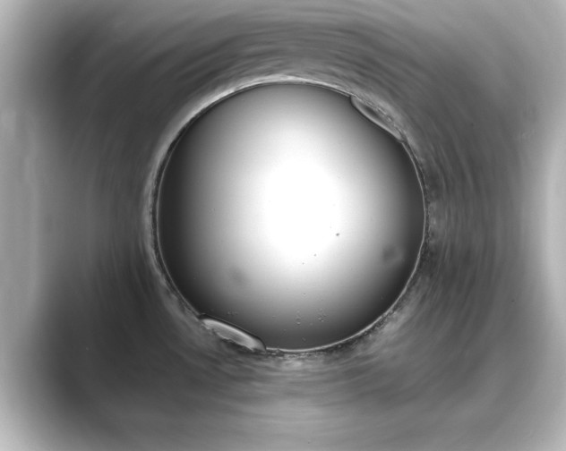 X0000089401530200706221108