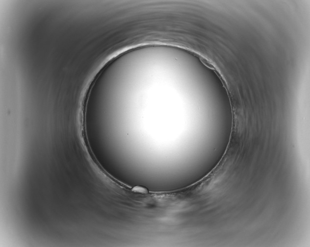 X0000089401531200706221108