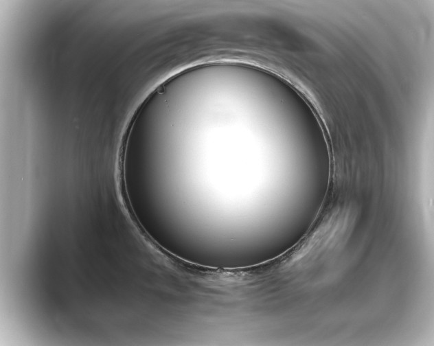 X0000089401533200706221108