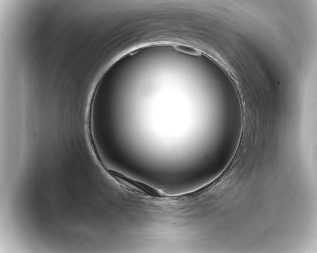 X0000089401536200706221108