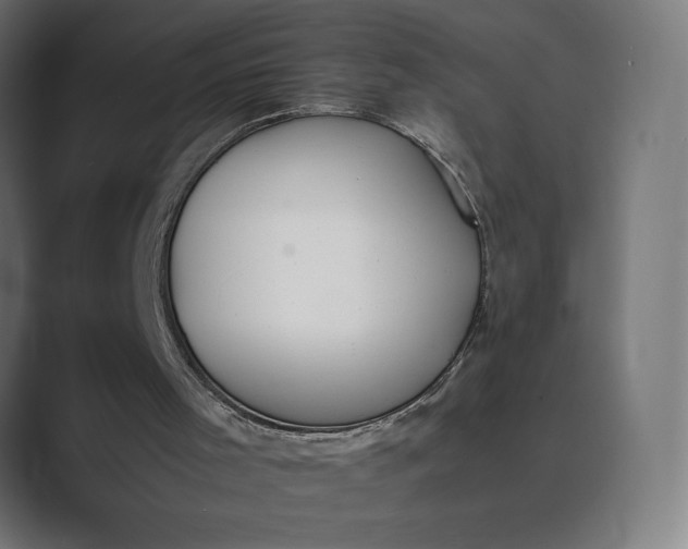 X0000089400001200706291415