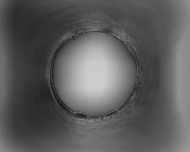 X0000089400003200706291415