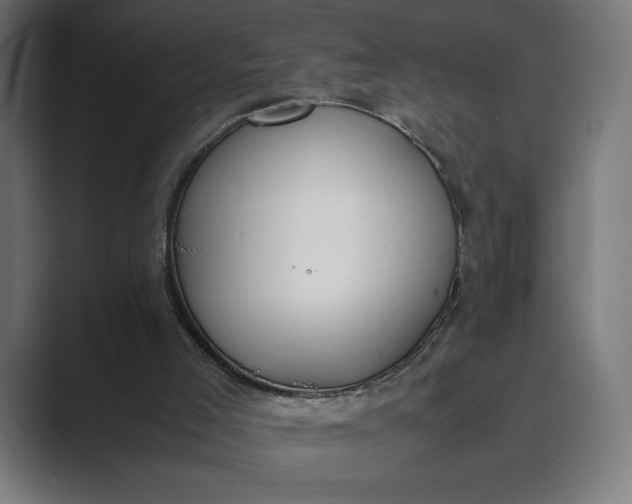 X0000089400005200706291415