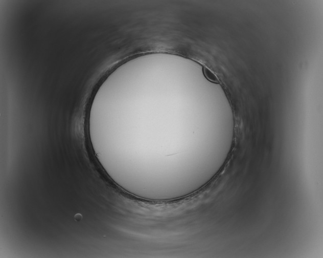 X0000089400006200706291415