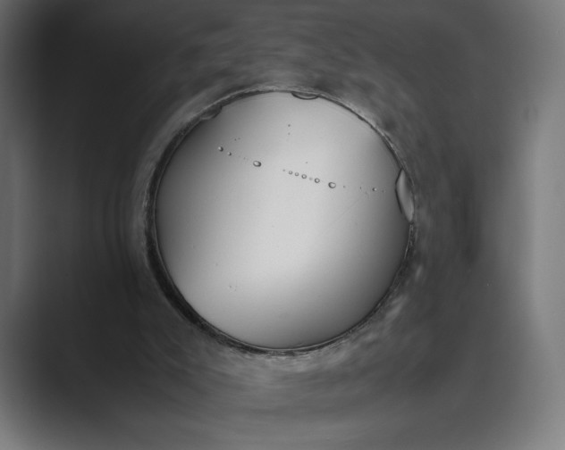 X0000089400007200706291415