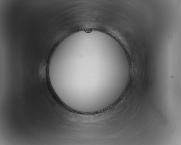 X0000089400010200706291415