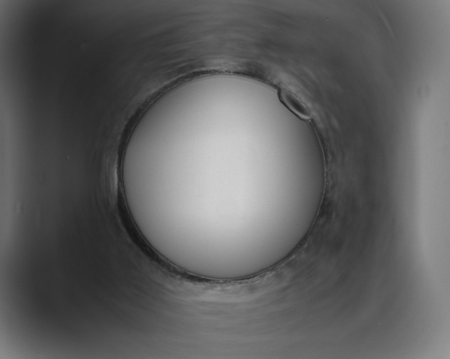 X0000089400011200706291415