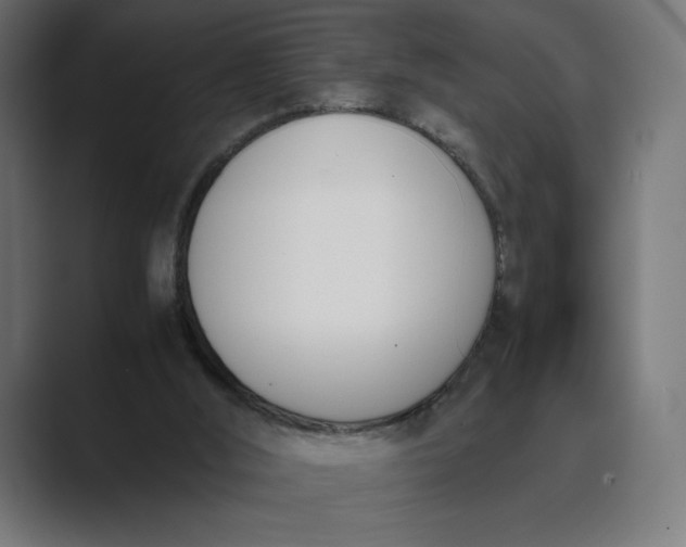 X0000089400012200706291415