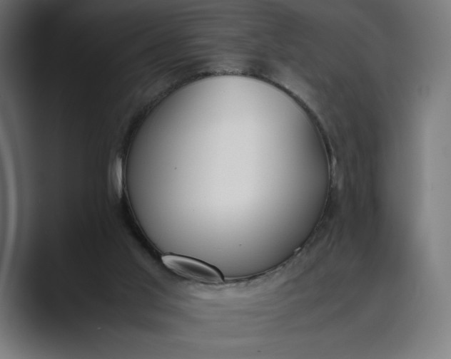 X0000089400013200706291415