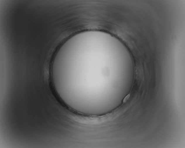 X0000089400015200706291415