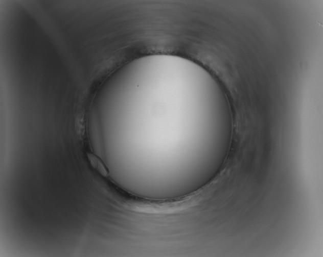 X0000089400017200706291415