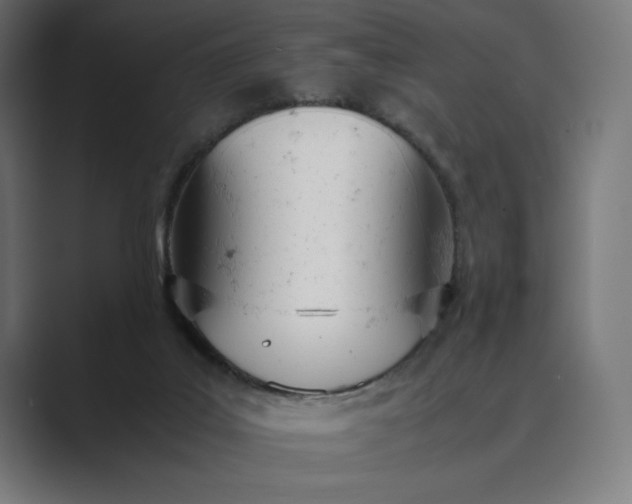 X0000089400019200706291415