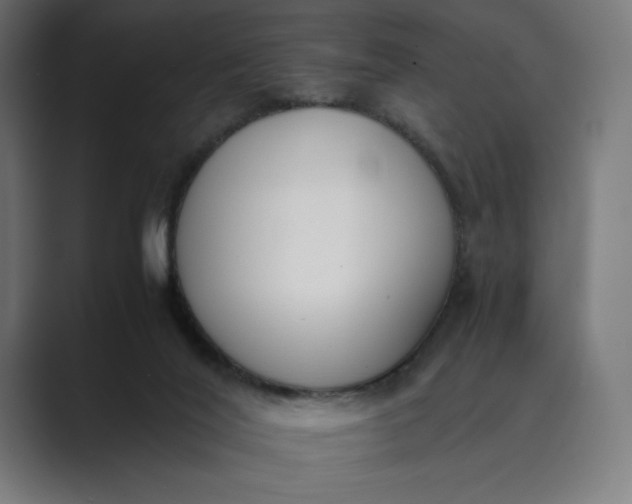 X0000089400020200706291415