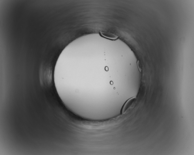 X0000089400021200706291415