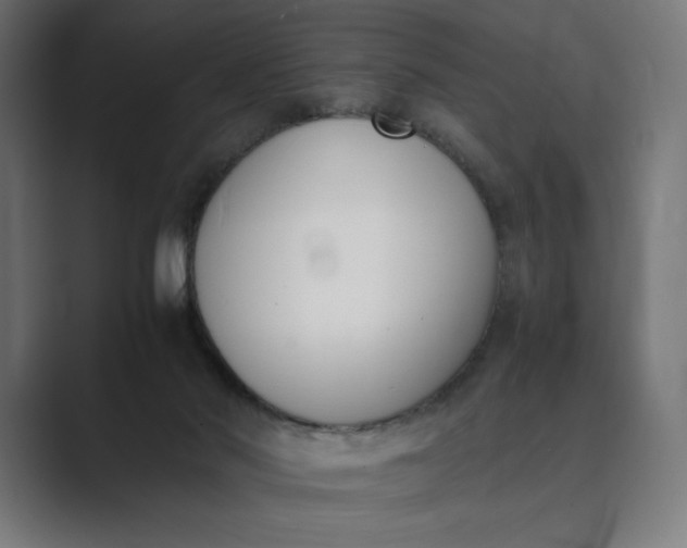 X0000089400022200706291415