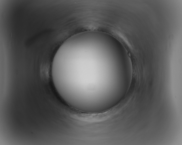 X0000089400023200706291415