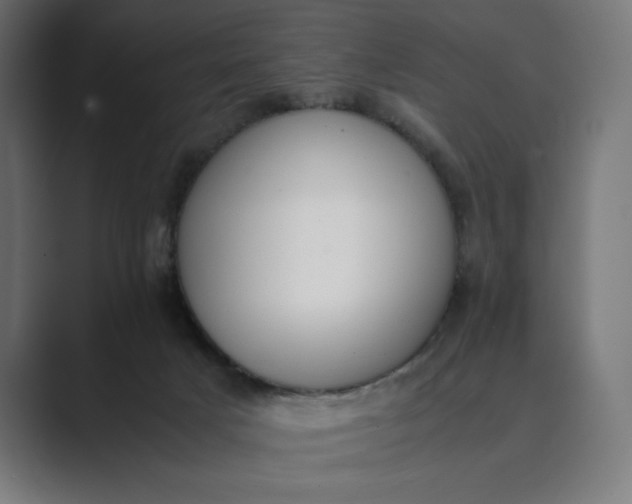 X0000089400025200706291415