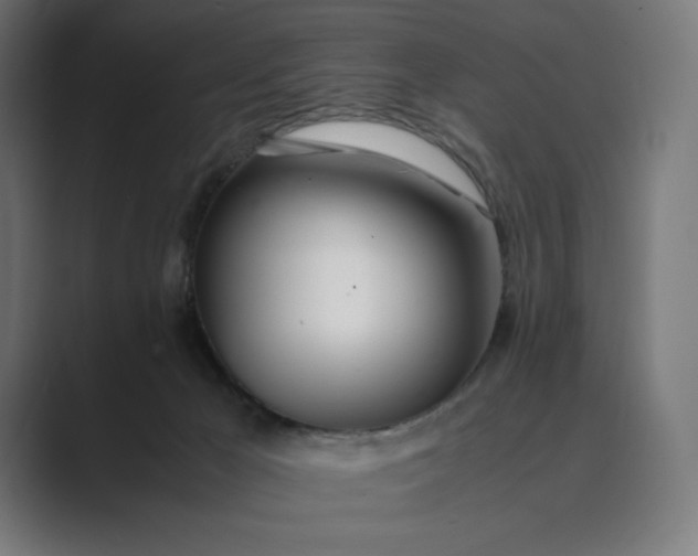 X0000089400029200706291415