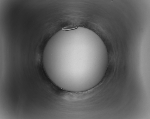 X0000089400033200706291415