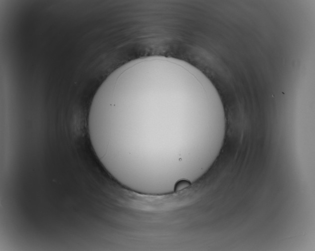 X0000089400034200706291415