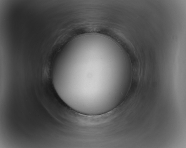 X0000089400035200706291415