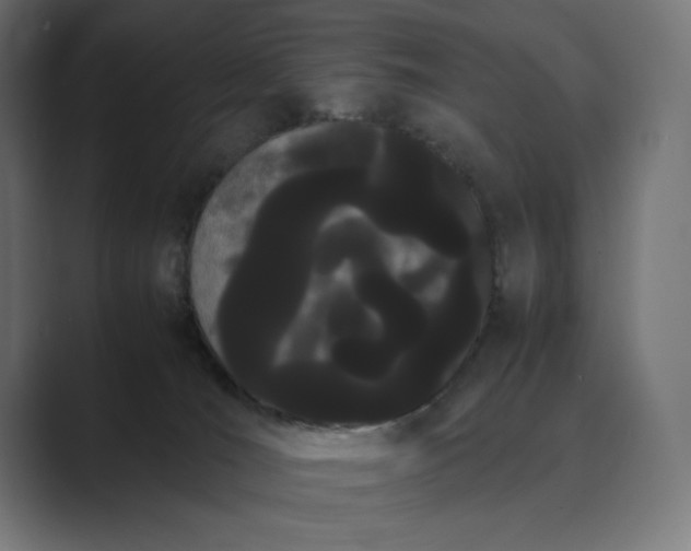 X0000089400036200706291415