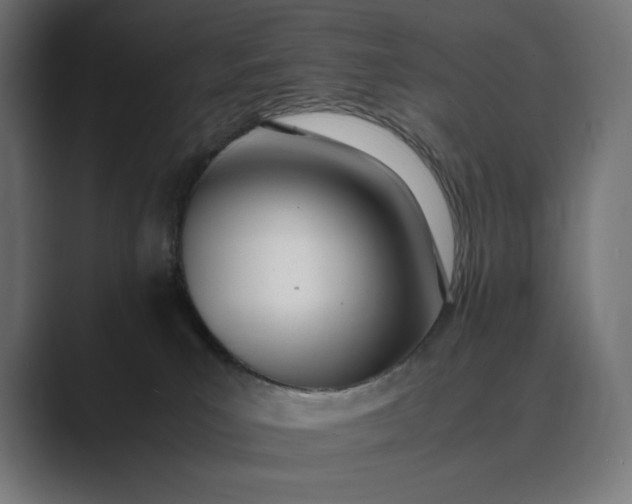 X0000089400039200706291415