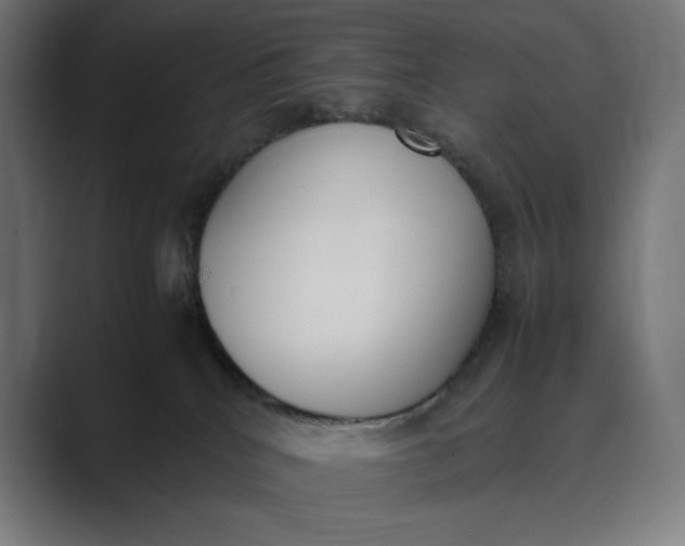 X0000089400040200706291415