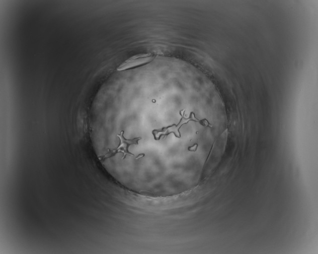 X0000089400043200706291415