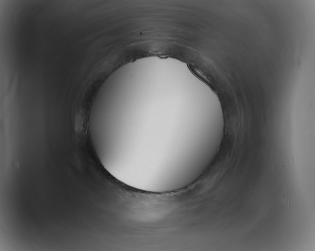 X0000089400044200706291415