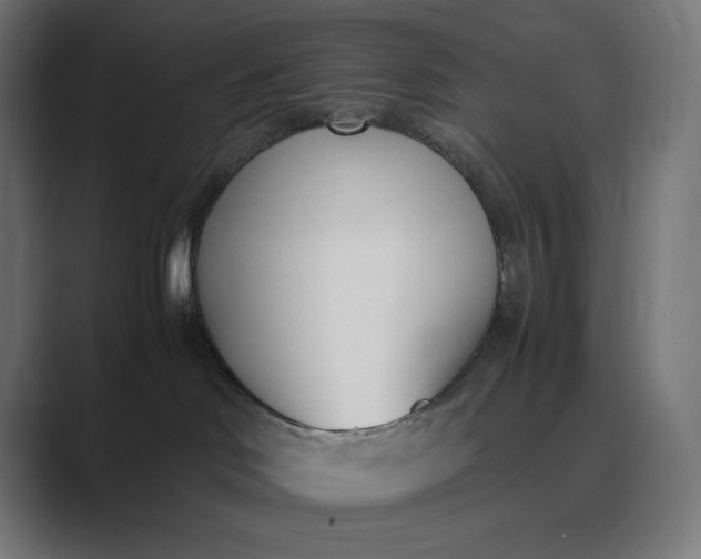 X0000089400046200706291415