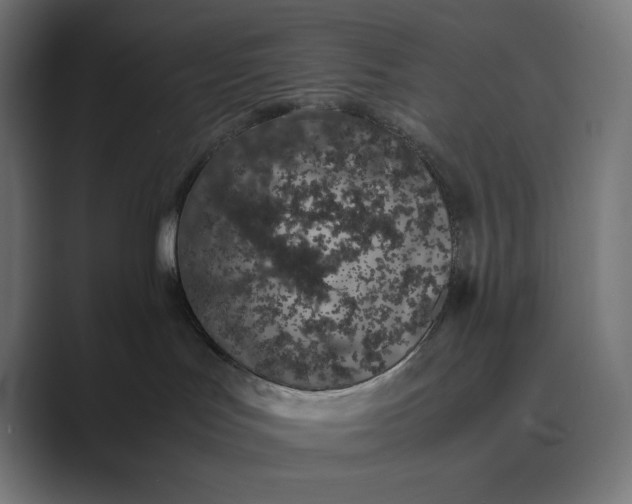 X0000089400047200706291415