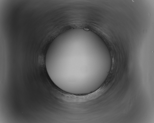 X0000089400048200706291415