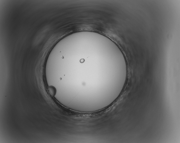 X0000089400049200706291414