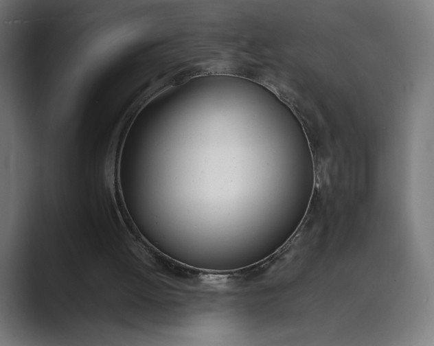 X0000089400052200706291414