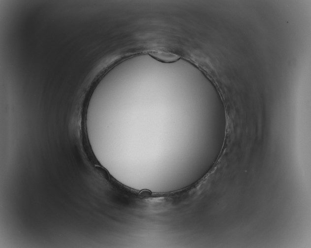 X0000089400054200706291414