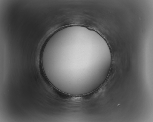 X0000089400055200706291414