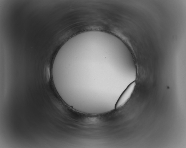 X0000089400061200706291414