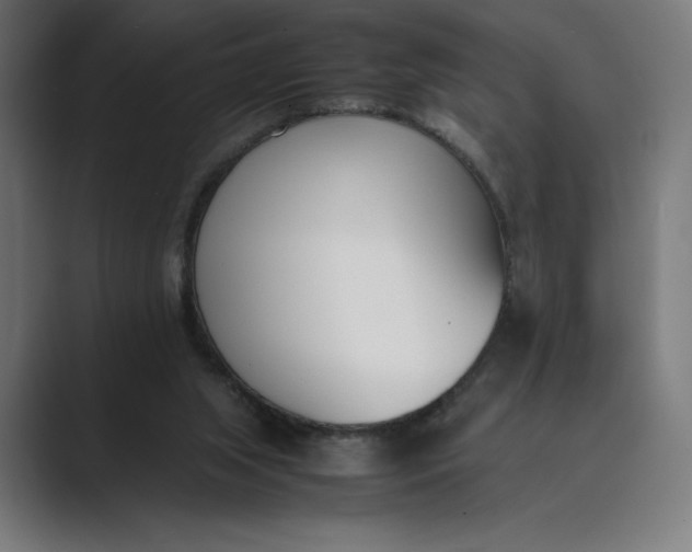 X0000089400063200706291414