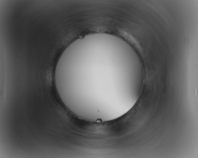 X0000089400065200706291414