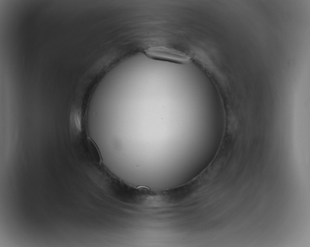 X0000089400068200706291414