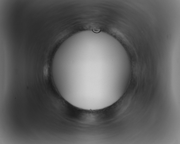 X0000089400071200706291414